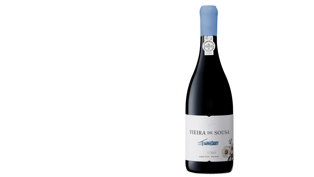 Alice Vieira De Sousa Tinto Cão