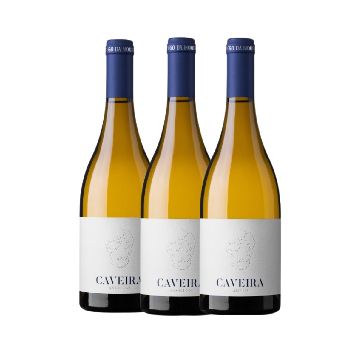 Conjunto Vinho Caveira (Antão Vaz+Semillon+Arinto)