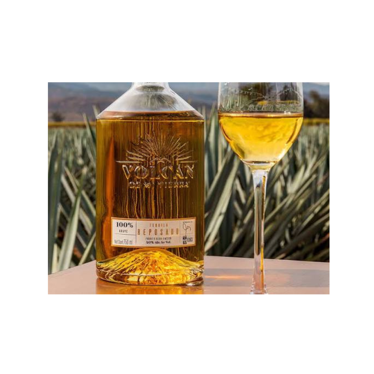Tequila Volcan De Mi Tierra Reposado