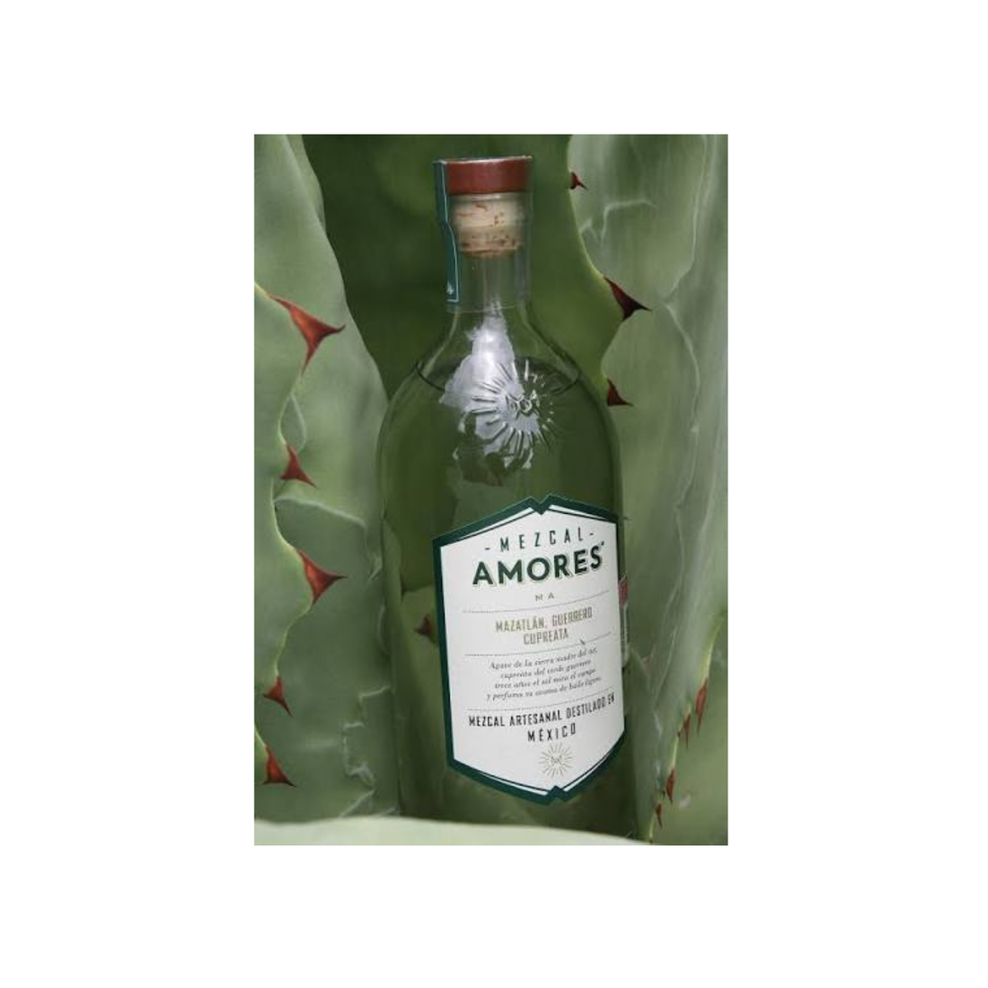 Mezcal Amores Cupreata