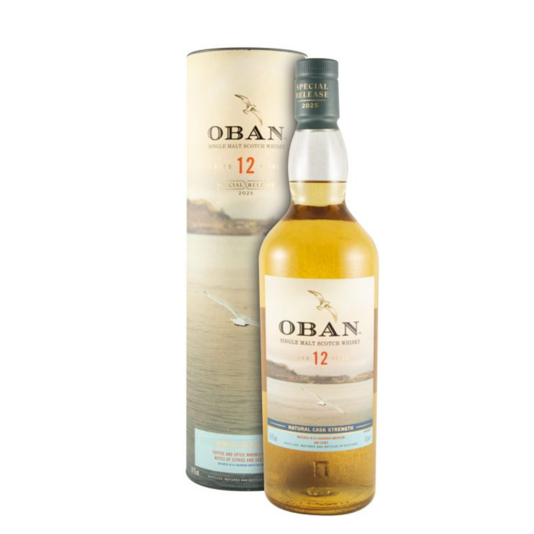 Oban 2025 Special Release 12 anos