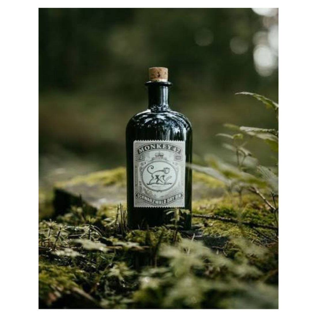 Gin Monkey 47