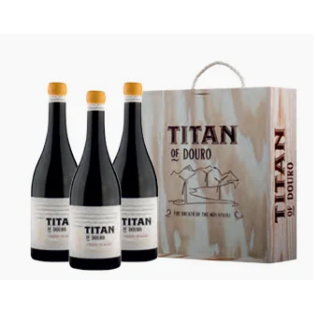 Titan Estagio em Barro Rosso 1.5 L