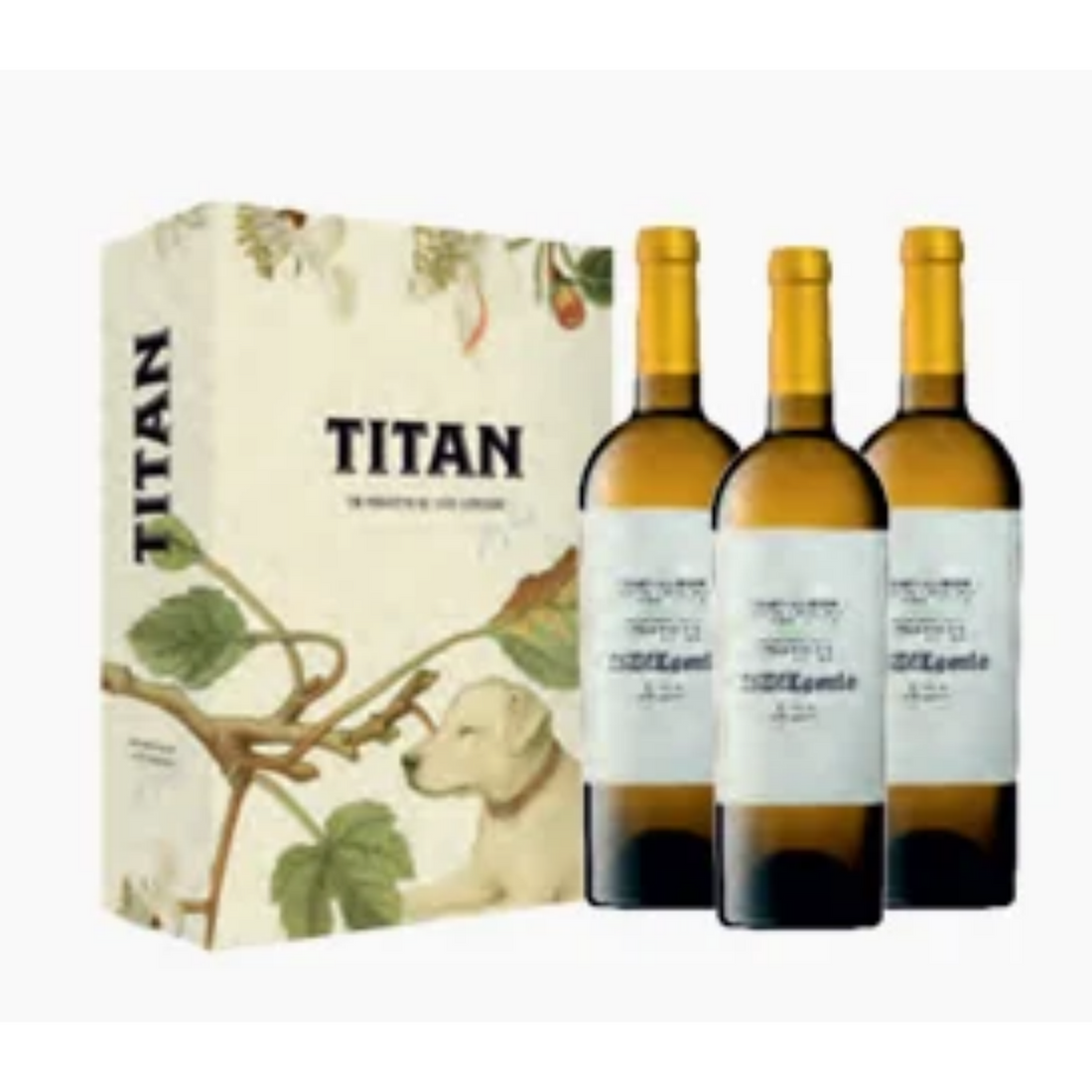Titan of Beira Interior Indiegente Branco Caixa Premium 3 Garrafas