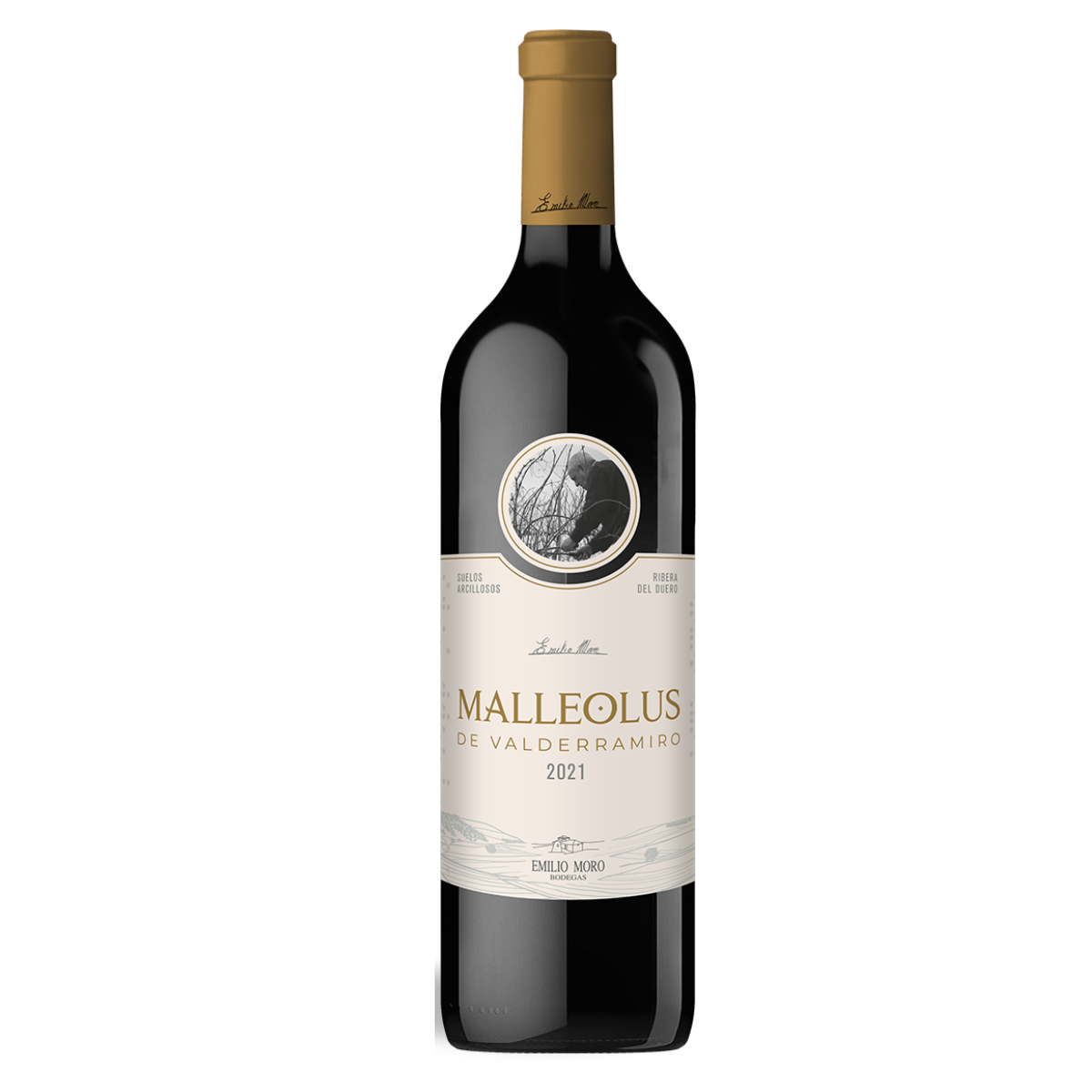 Emilio Moro Malleolus Tinto