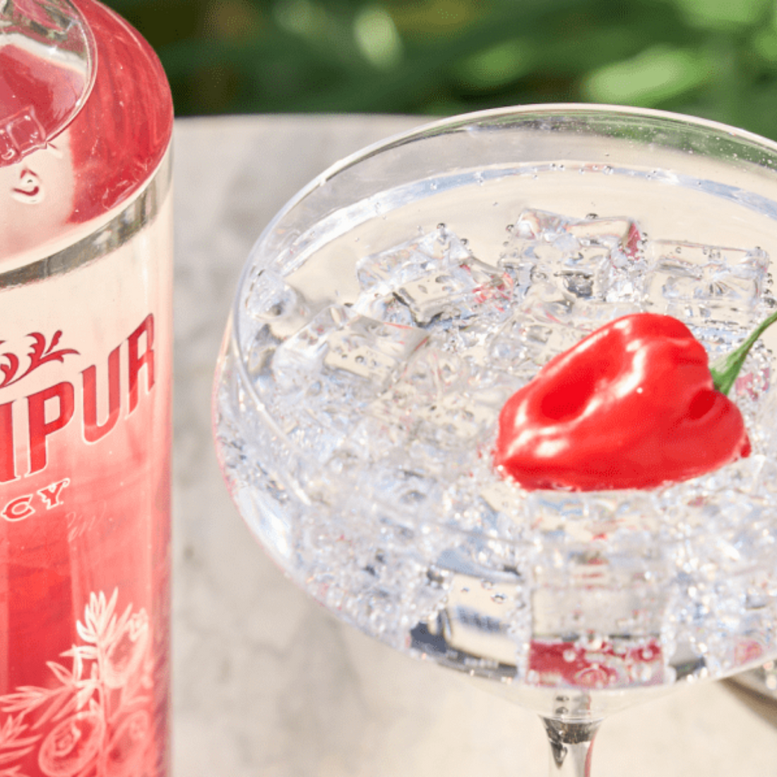 Gin Jodhpur ''Premium'' Spicy