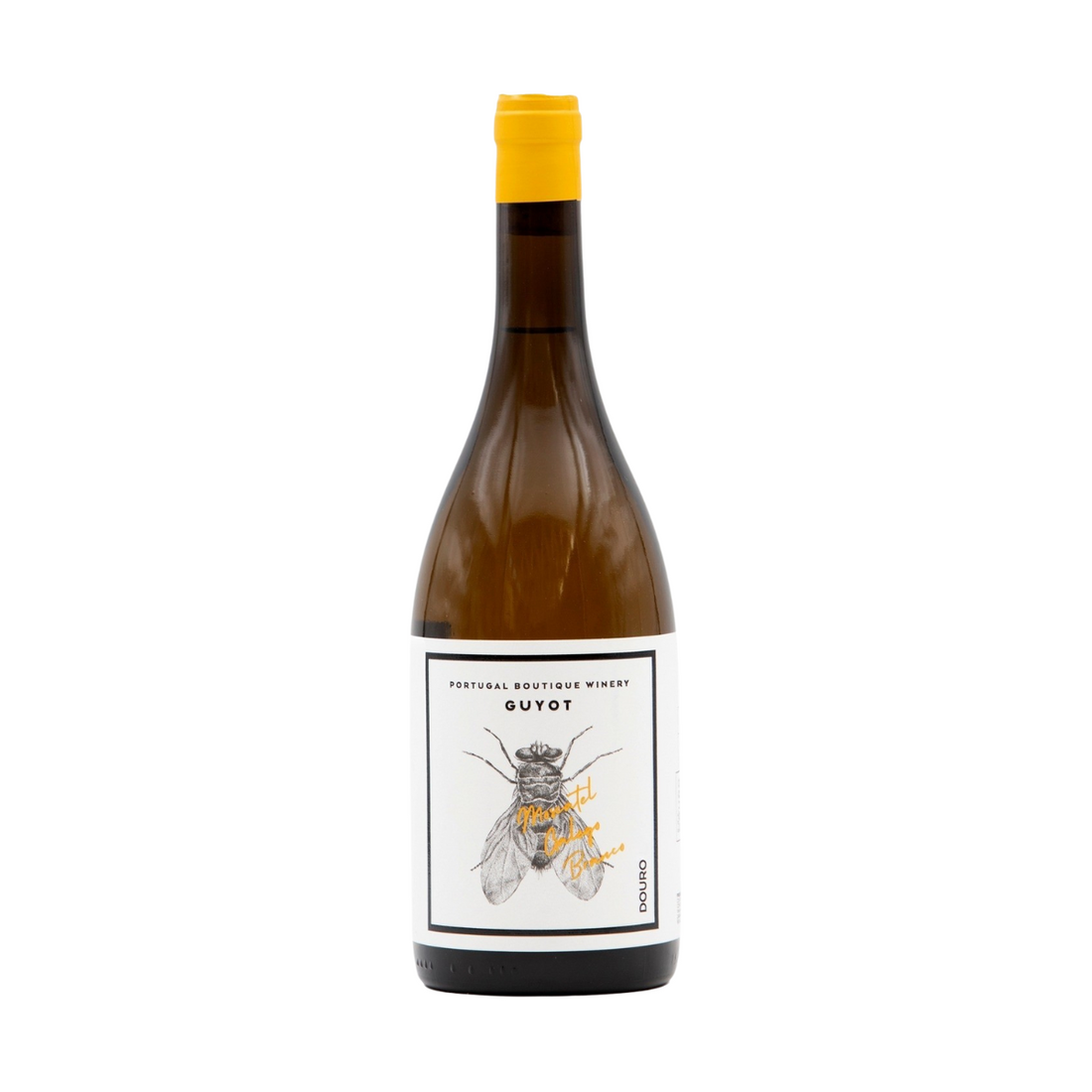 Guyot Moscatel Galego Branco