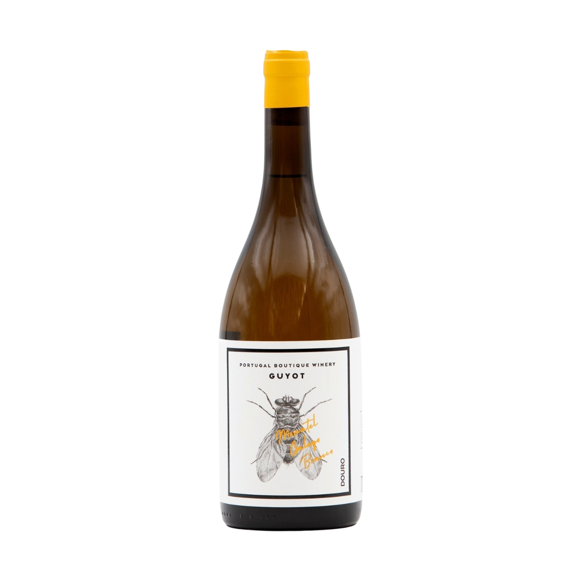 Guyot Moscatel Galego Branco