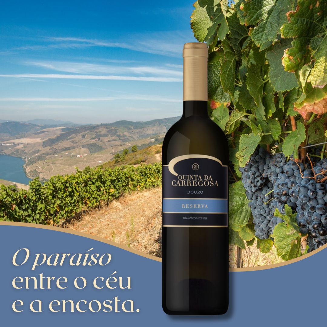 Quinta da Carregosa Reserva Branco