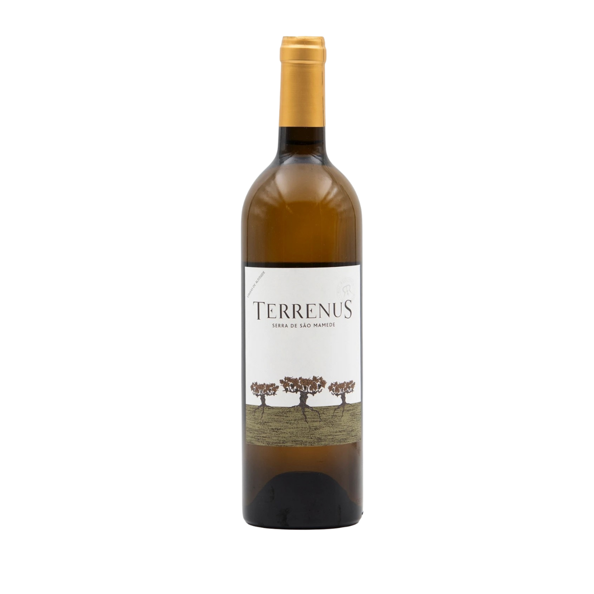 Terreno bianco