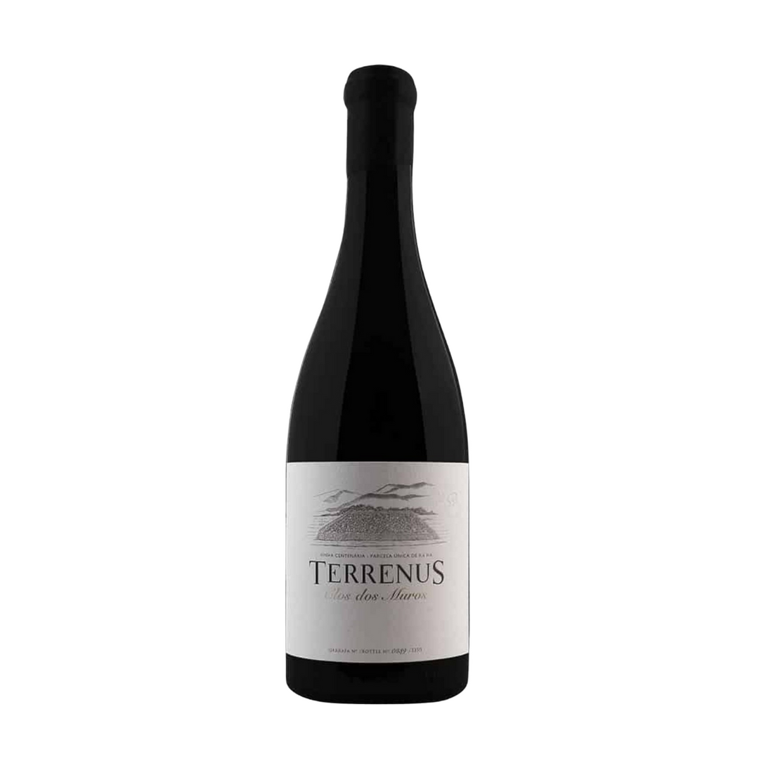 Terrenus rosso