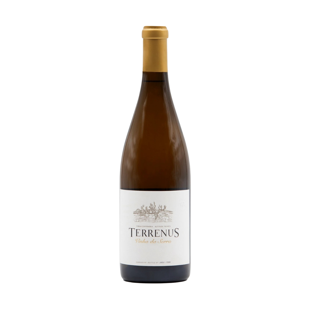 Terreno bianco