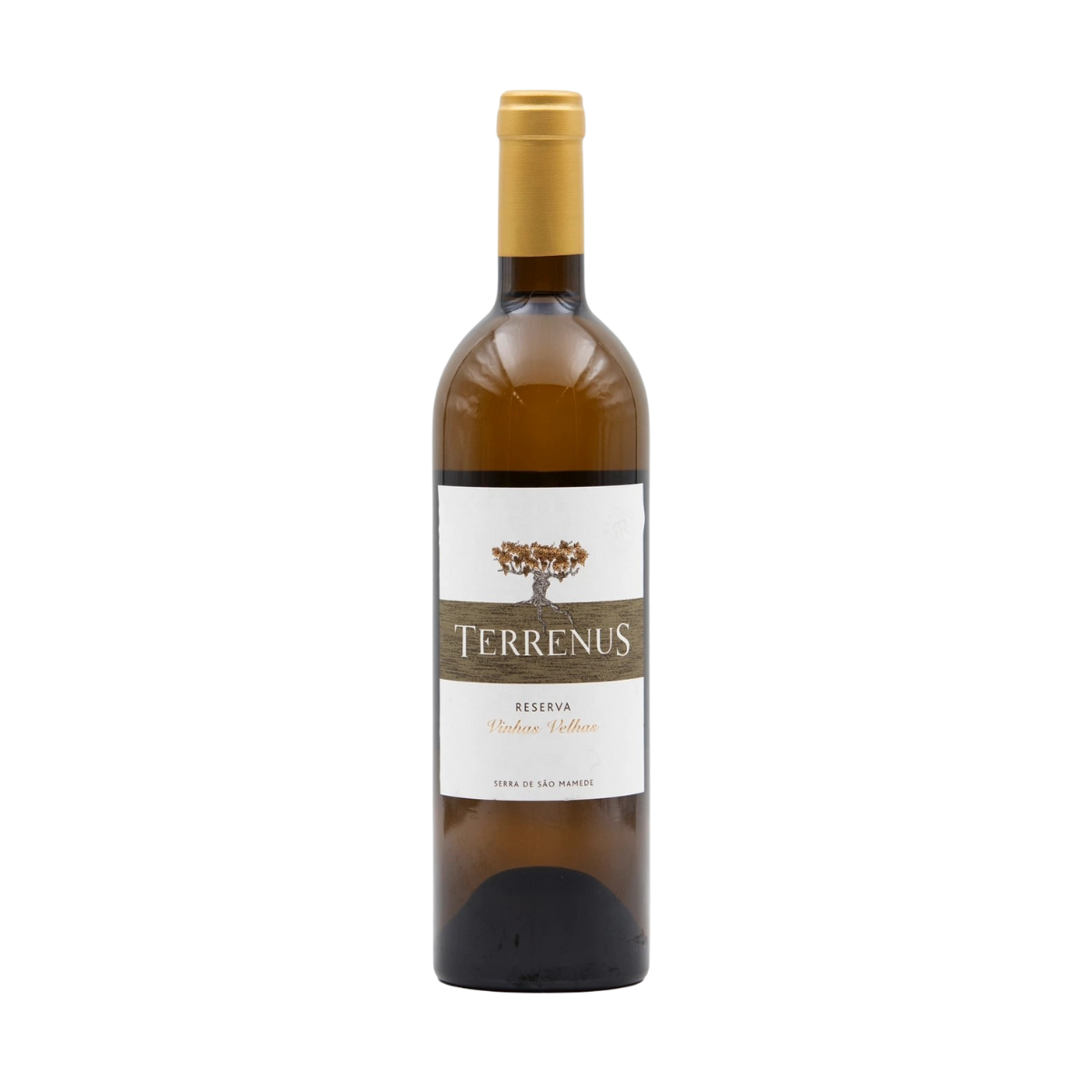Terreno bianco
