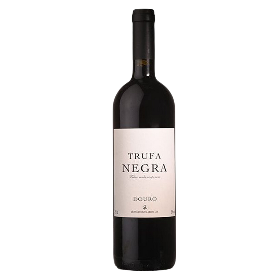 Trufa Negra