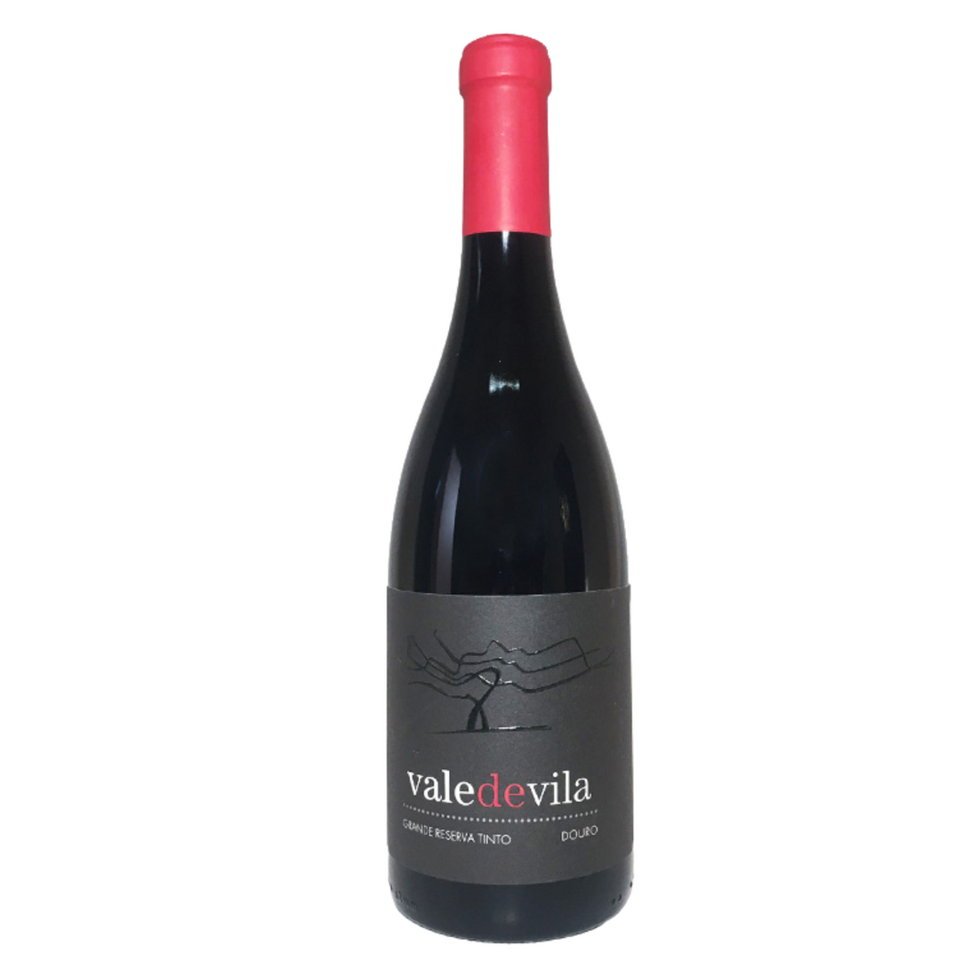 Vale de Vila Grande Reserva Tinto