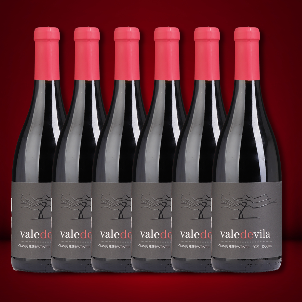 Vale de Vila Grande Reserva Tinto x 6