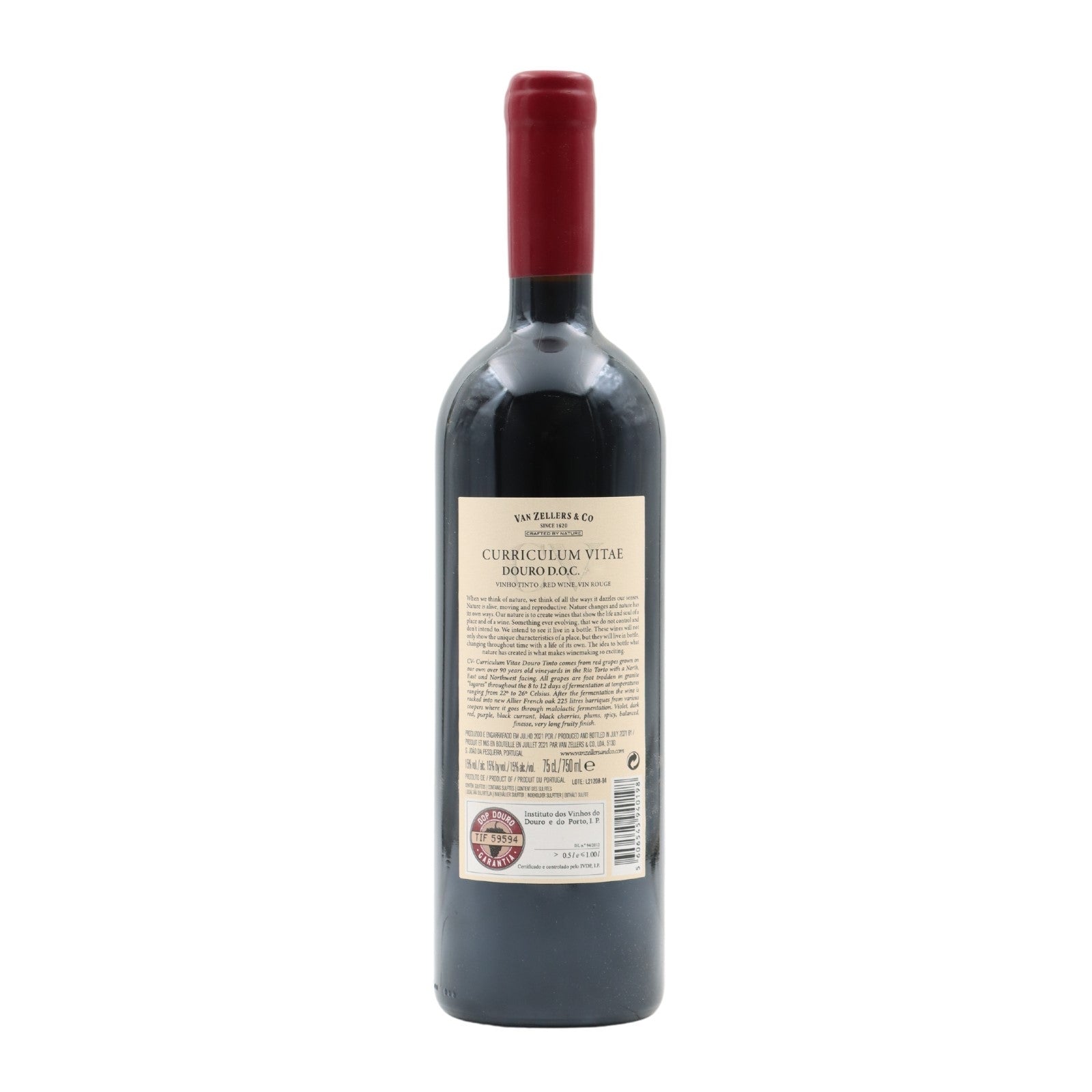 CV Curriculum Vitae Tinto