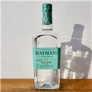 Gin Hayman's Old Tom