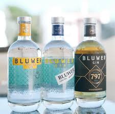 Bluwer Invisible Gin