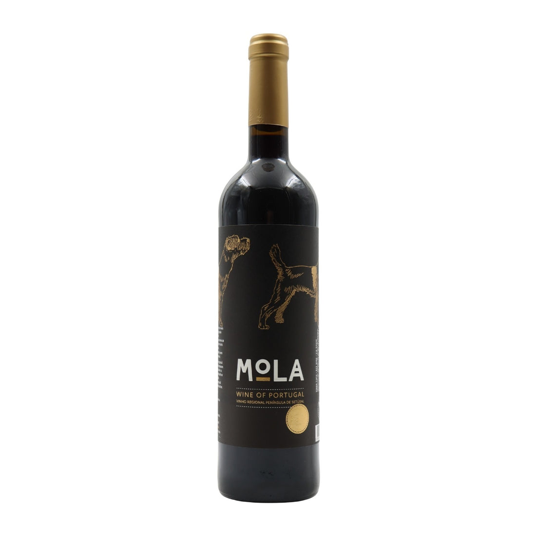 Mola Tinto