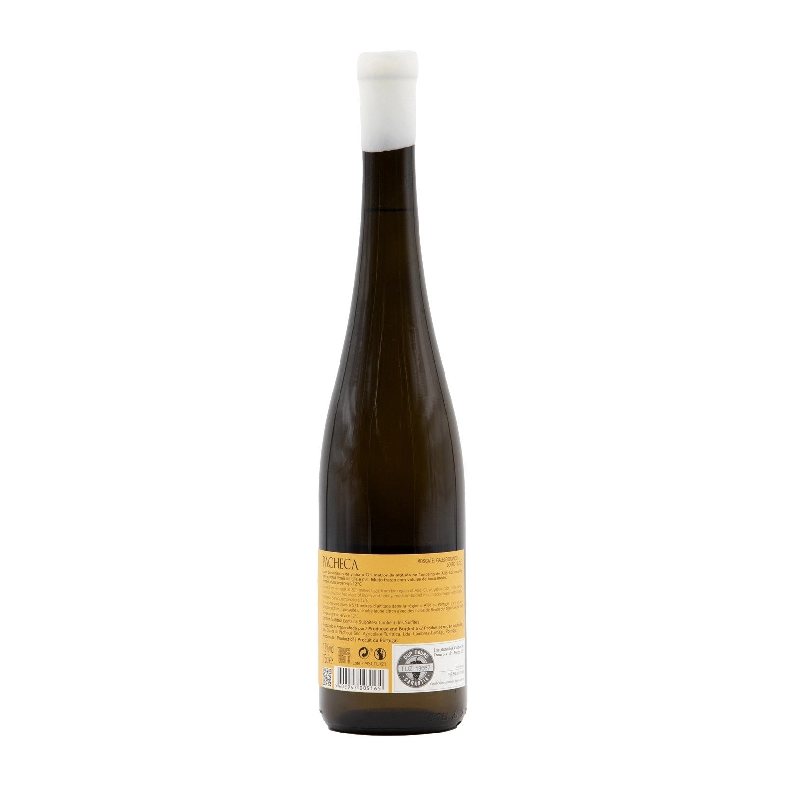 Pacheca Moscatel Galego Branco