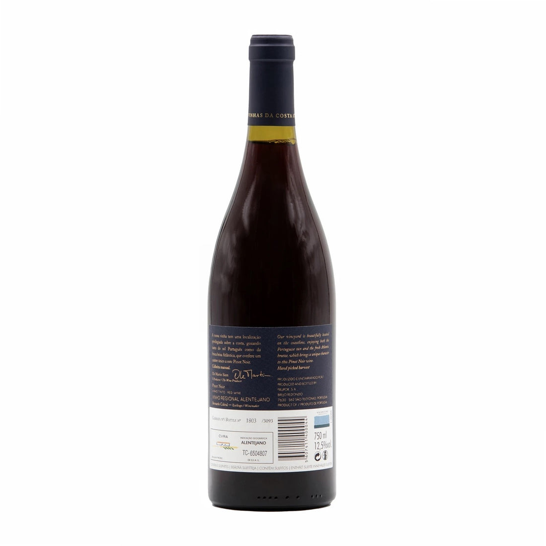 Vicentino Pinot Noir Tinto